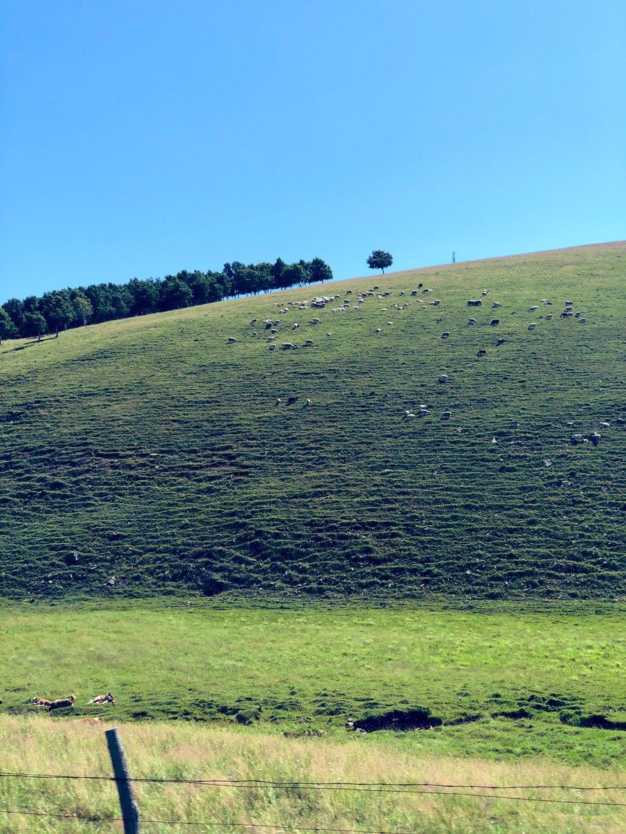 天苍苍野茫茫，风吹草低见牛羊