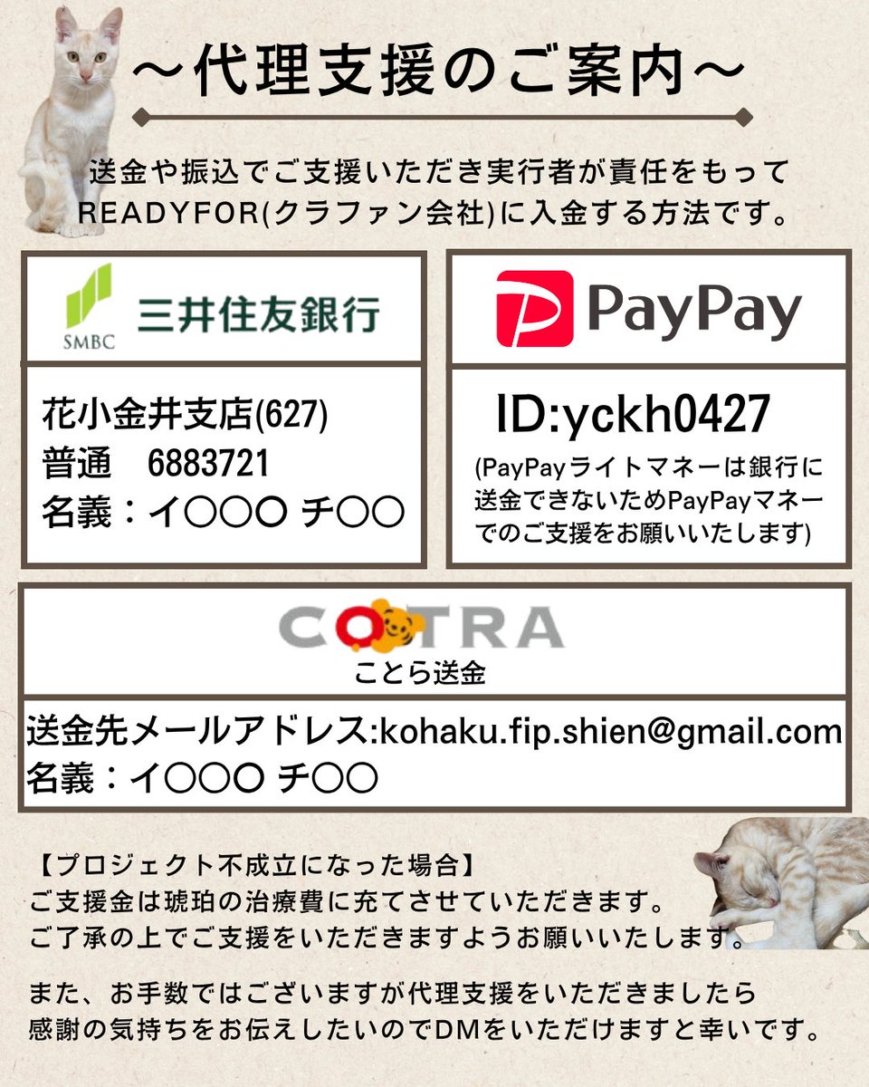koha_hisu_cat's tweet photo. 度々すみません！
クラファン残り37時間です！
拡散だけでもご協力お願いします。

クラファンページ
https://t.co/iULHMyj2FZ https://t.co/k7lPQ190PL