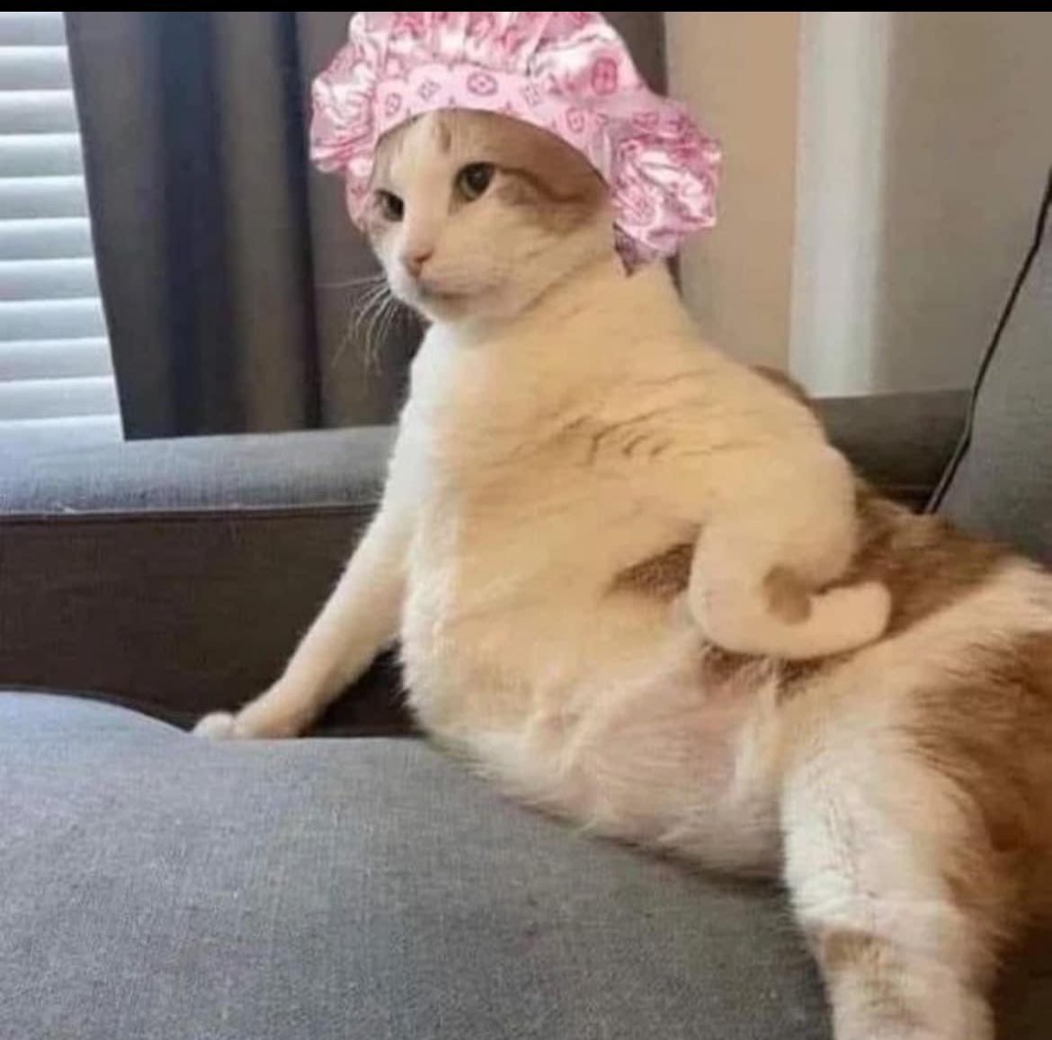 sheisfasy's tweet image. Wenye thick thighs hio challenge ya Nicki minaj itipite😂💔..tutavunja viuno