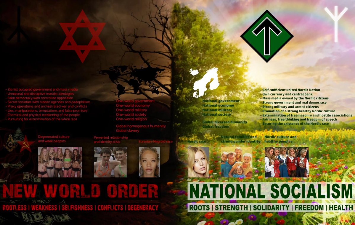 LowlandsLeo's tweet image. De enige weg voorwaarts is Nationaal-Socialisme.
