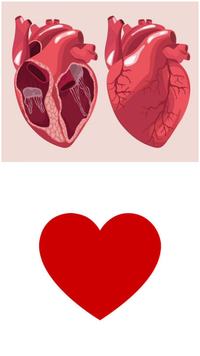 kalp nedir? anlamını ve tarifini bilende çiziyor bilmeyende...
sahiden KALP nedir?