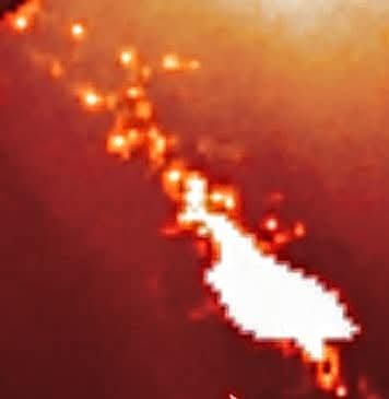 hermesisos's tweet image. 27 Temmuz 2025 🌏
Planet X  ☄️ Nibiru Complex 
SOHO LASCO C2 🛰 

#nibiru
#planetx
#hercólubus 
#bluekachina 
#quetzalcoatl 
#marduk 
#pelin 
#rednemesis 
#tarık