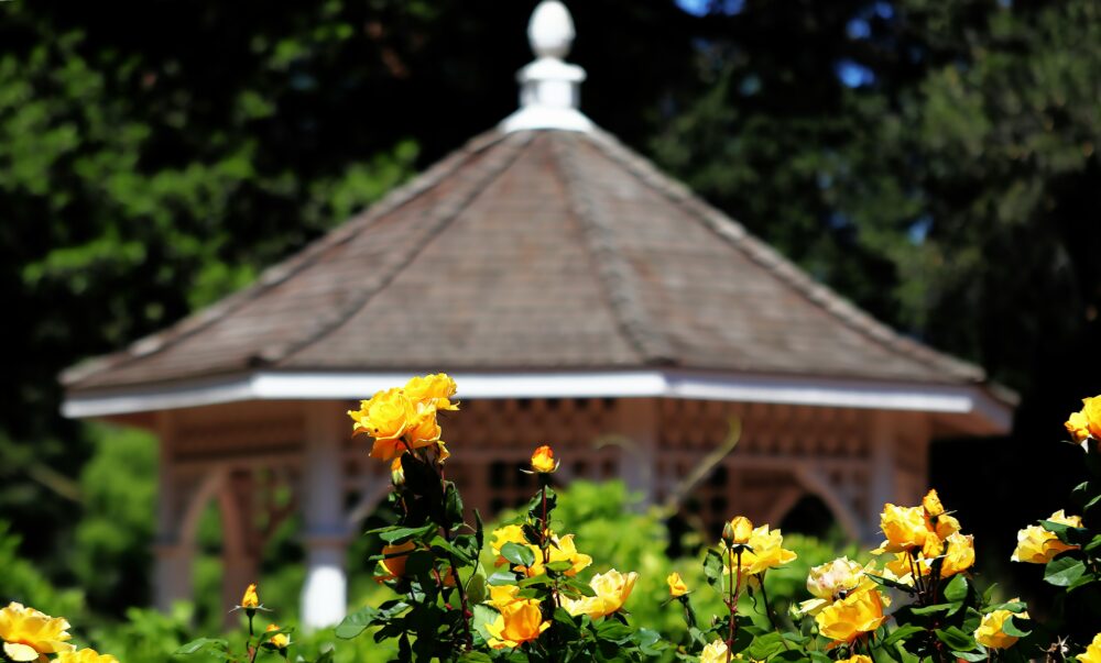 Whether you are a nature lover, a history buff, or a food enthusiast, it’s easy to find something to enjoy year-round. ow.ly/YsJb50WcwV1