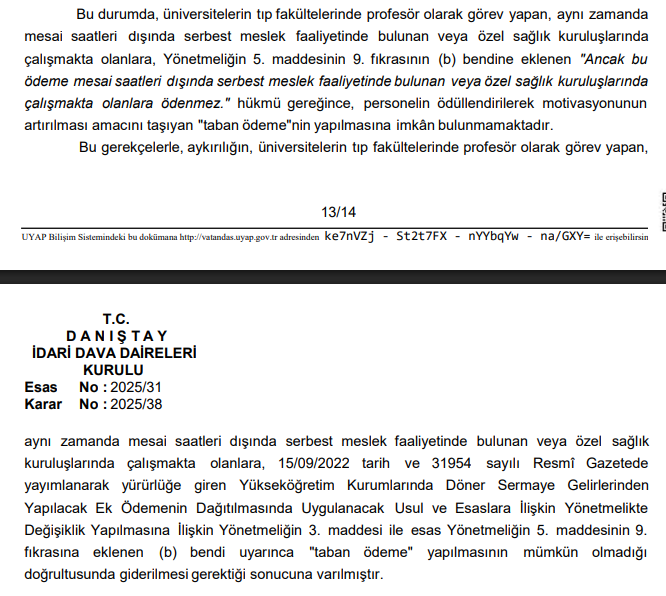 Üniversitelerin tıp fakültelerinde profesör olarak görev yapan, aynı zamanda mesai saatleri dışında serbest meslek faaliyetinde bulunan veya özel sağlık kuruluşlarında çalışmakta olanlara, 15/09/2022 tarih ve 31954 sayılı Resmî Gazetede yayımlanarak yürürlüğe giren Yükseköğretim