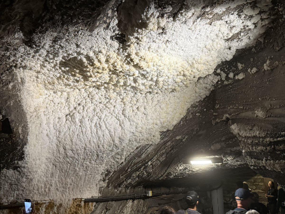 tevordoley22's tweet image. I went to them salt mines today!
Damn chapel underground?
This was the shit
The tour only covered 1% of the tunnels and they had in the mines