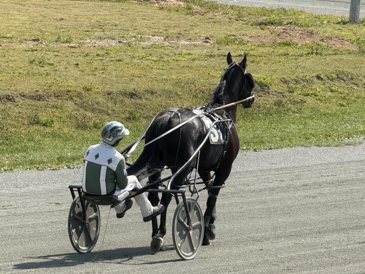 Mattpetti32's tweet image. At the Inverness Raceway today
Will I win?