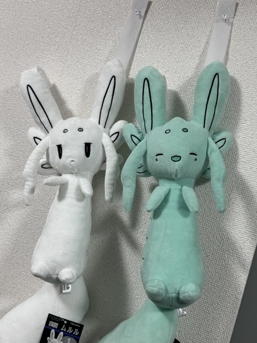sizukiRS's tweet image. 無事に帰宅しました
2日間お疲れ様でした！
会ってくれたみんなマジありがと✊