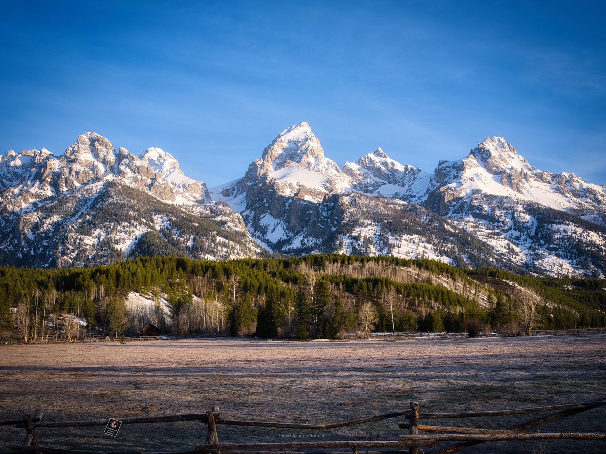 blueridgem_m's tweet image. Late April in the Tetons. July on the ridge? A wee bit warmer 😎.