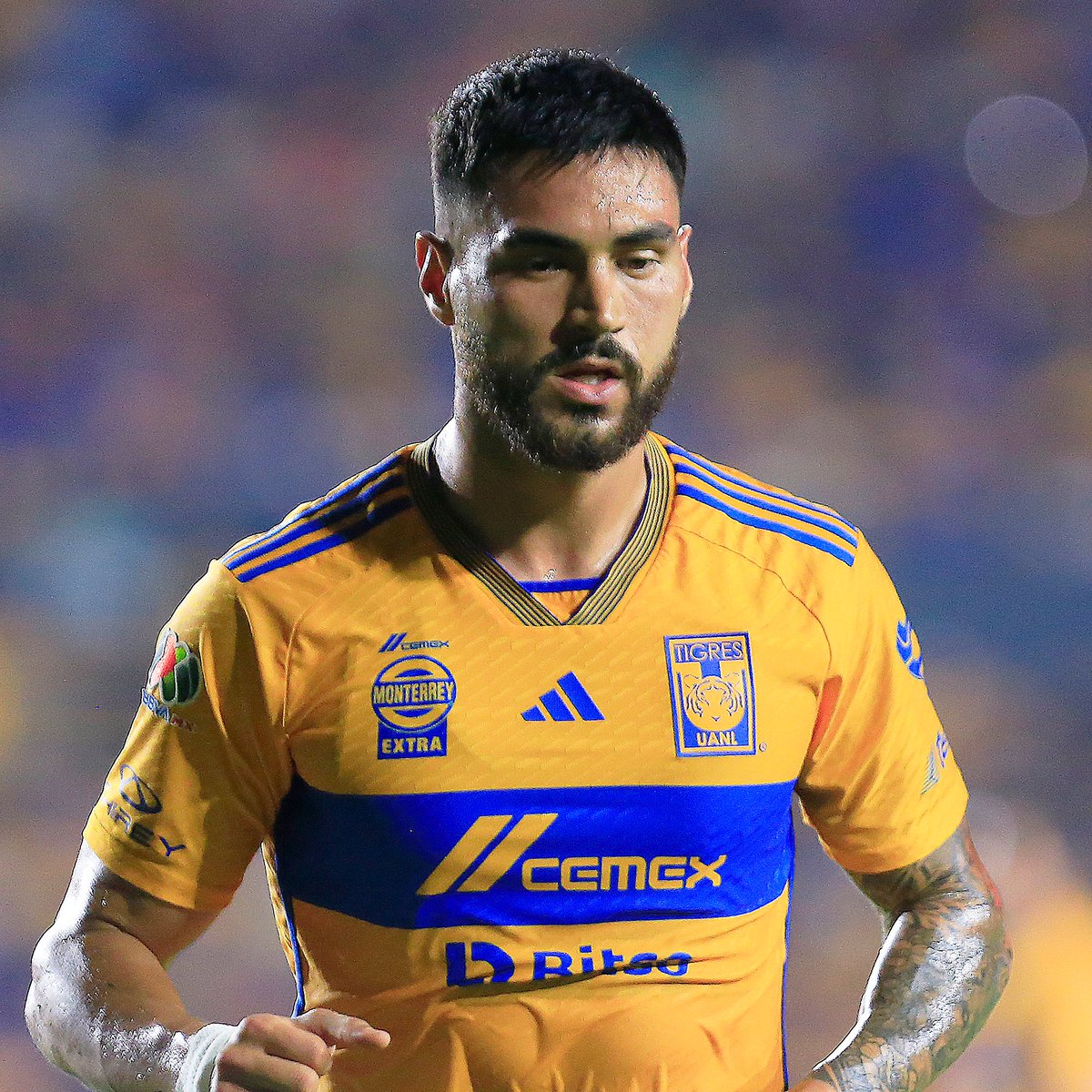 dataref_mx's tweet image. ⚔ JUANJO PURATA frente a Toluca:
○ 1° en duelos aéreos ganados (4/5).
○ 1° en duelos terrestres ganados (4/5).
○ 1° en despejes (¡10!).
○ 1° en entradas registradas (2).
