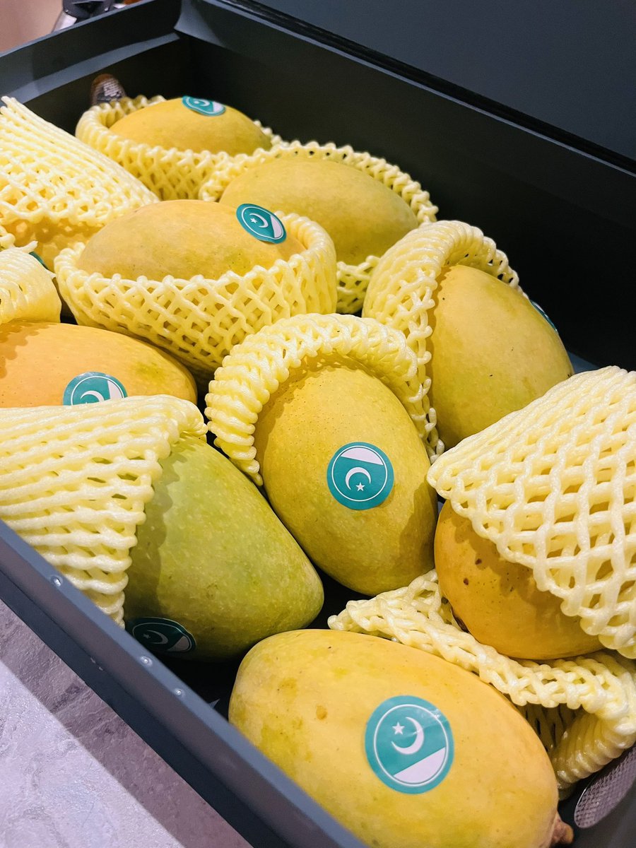 ShamaJunejo's tweet image. A beautiful gesture of mango diplomacy thank you, PM @CMShehbaz Sahib, for this sweet reminder of our rich heritage and the bonds that unite us. May the sweetness of these mangoes inspire harmony, warmth, and fruitful connections ahead.
And special thanks to Mera piyara bhai…