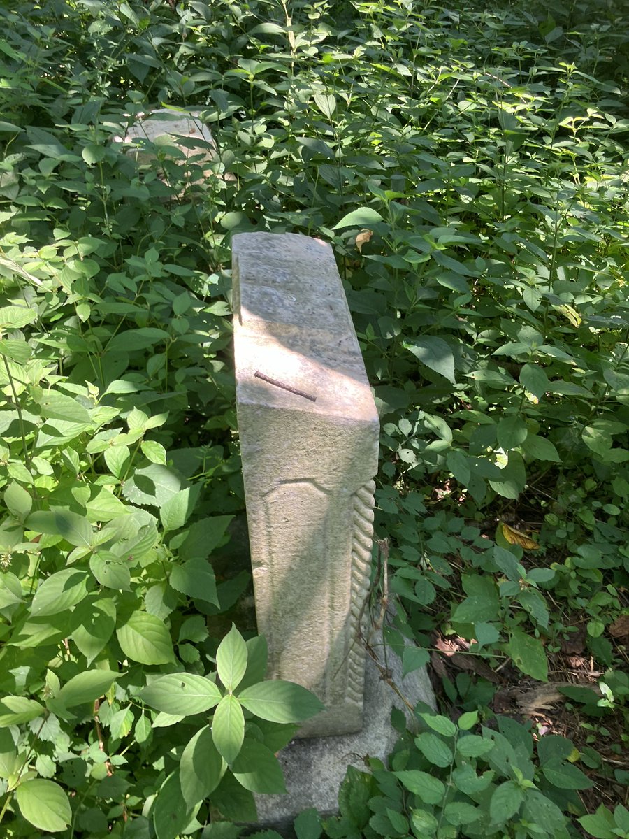goetheurgy's tweet image. โHobo Junctionโ is a family cemetery beside an old trainyard. It holds 4 graves of a farm family & perhaps a dozen unmarked graves of โvagrantsโ who โrode the rails.โ The cemetery served as shelter for transients, some even sleeping atop the family plots. When illness struck, aโฆ