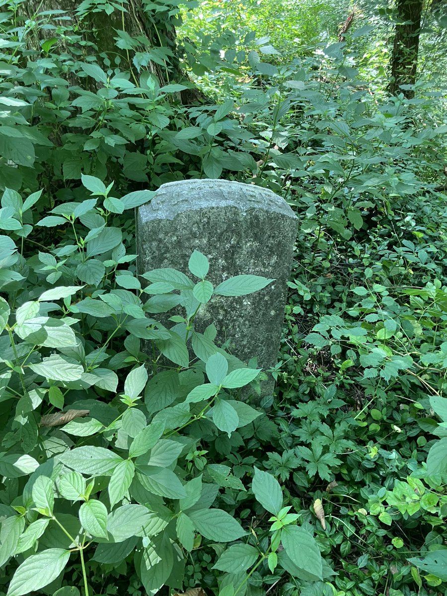 goetheurgy's tweet image. โHobo Junctionโ is a family cemetery beside an old trainyard. It holds 4 graves of a farm family & perhaps a dozen unmarked graves of โvagrantsโ who โrode the rails.โ The cemetery served as shelter for transients, some even sleeping atop the family plots. When illness struck, aโฆ