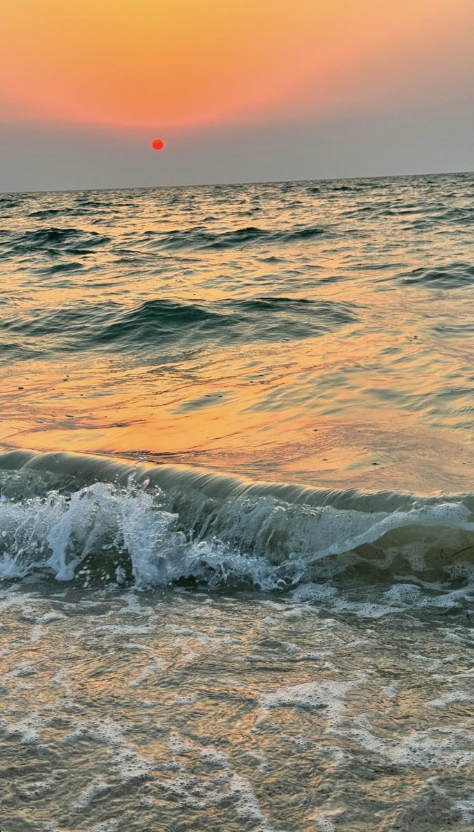 _MAKTOUMM's tweet image. July dump