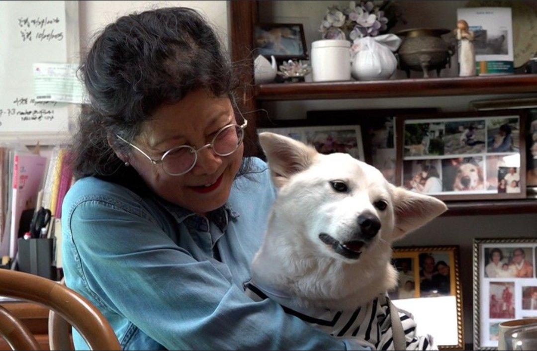 NamiKim_DogsSK's tweet image. "LEARN FROM DOGS"
➡️facebook.com/share/p/1C3xXC…
At last the article has been released by Kookmin Daily. Hope it sells well so that we can feed more dogs.
Please use the Google translator for it.
📰 n.news.naver.com/mnews/article/…
#SaveKoreanDogs