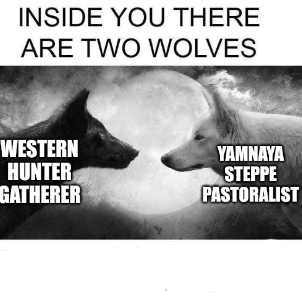NationalMerican's tweet image. Inside every White man or woman 
Is two wolves