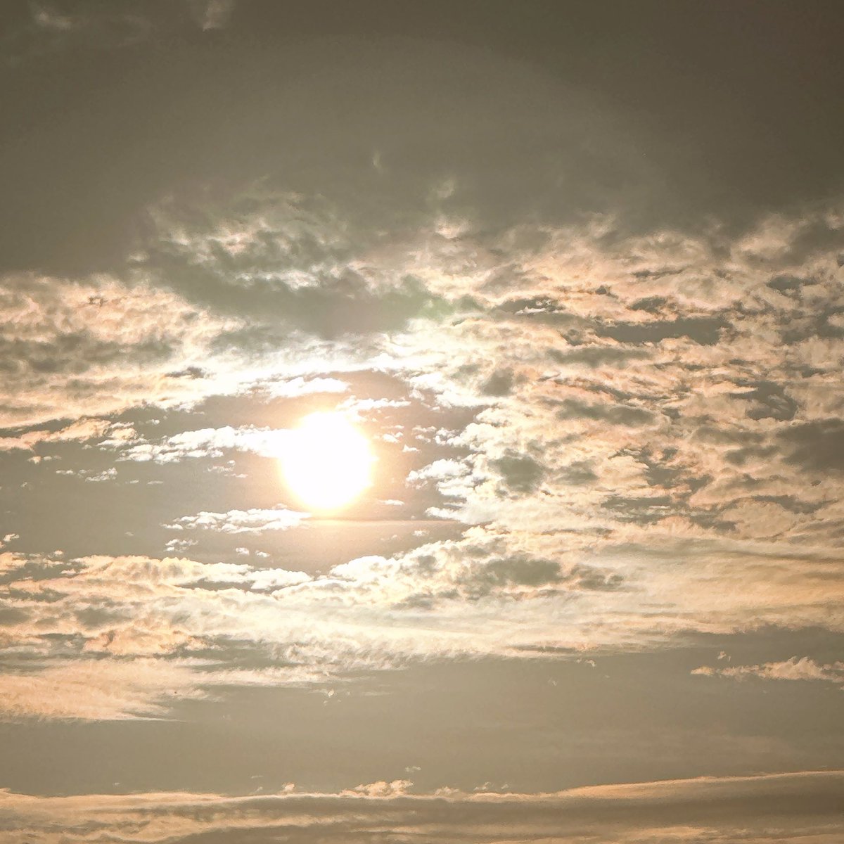 minori_noen's tweet image. 太陽くん…まだ本気出さないで？
早いよ〜もう少し寝てなよ

今日は熱中症民出すぞの勢いでくるやん