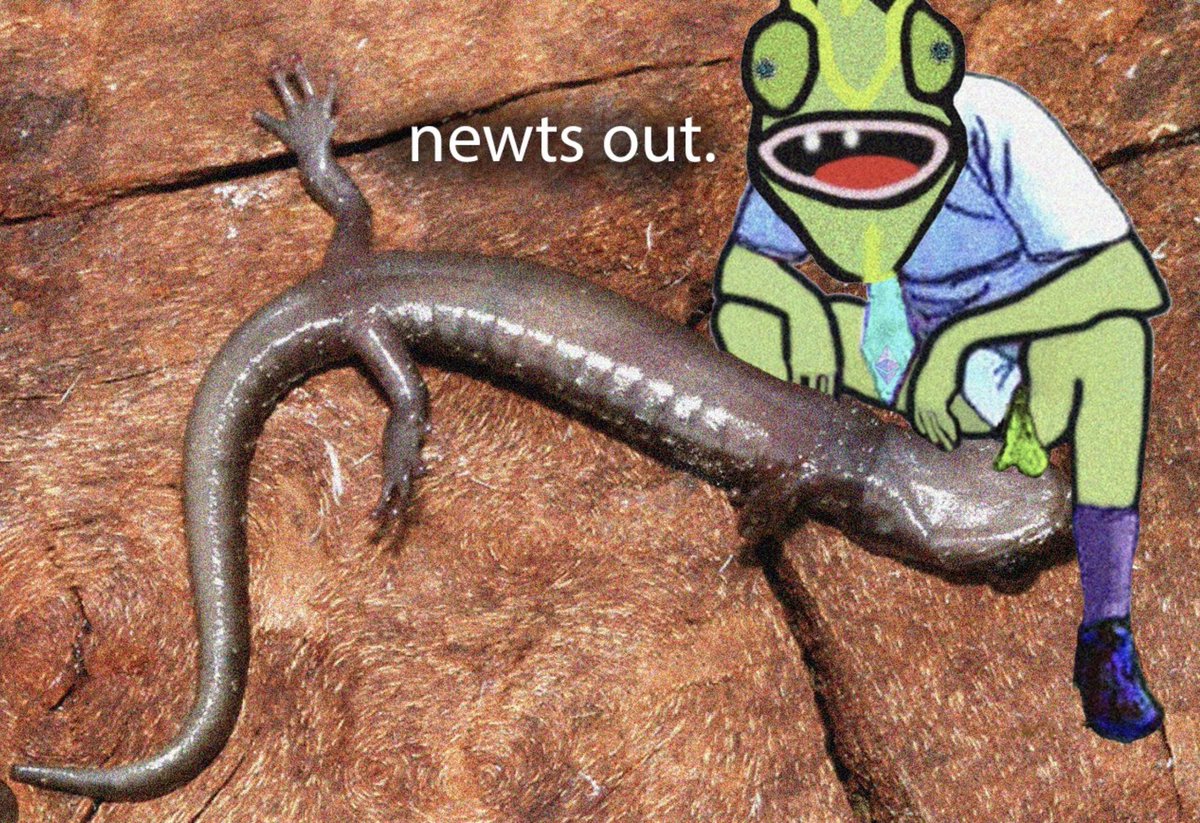 gaptoothlizard's tweet image. wen you see a newt down it is your responsibility handle yourself with taste and class.