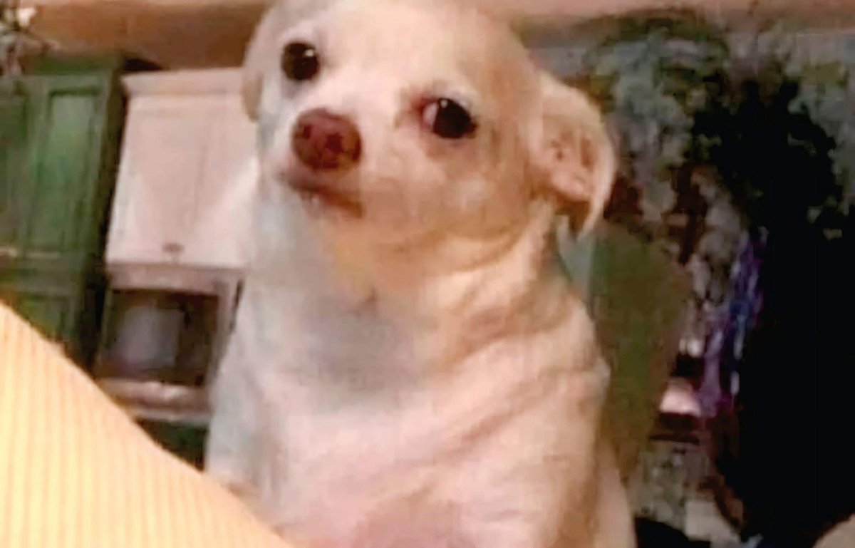 emhoneyreads's tweet image. When someone tries to talk to me while I’m reading
