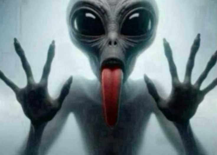 ozoIog1's tweet image. roobotttssss ....