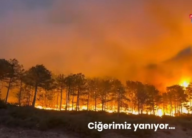 senolatass's tweet photo. Her felakette kimsesiz olduğumuzu hatırlıyoruz. Halk hep orda siz nerdesiniz. #bursayanıyor #KarabükYanıyor  ciğerlerimiz yanıyor. https://t.co/3kyVwBqgGu