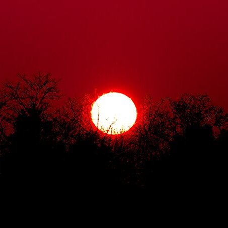 Extreme heat could lead to 30,000 deaths annually in England and Wales #extremeheat #globalwarming #climatechangeawareness

naturalworldfund.com/extreme-heat-c…