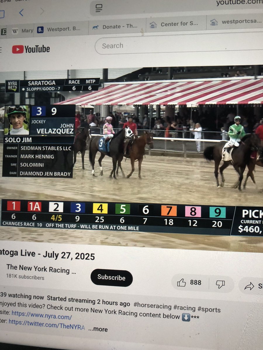 coloneljen's tweet image. Racing Peeps : my homebred Solo Jim got up for second on sloppy track at Saratoga. Knocked around. Had to go wide but dug in. So proud of him. Thanks to trainer Mark Hennig and Johnny V