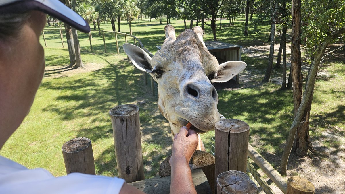 UltTailgater's tweet photo. Great time today @EudoraFarms! Big thanks to their staff + @LarryFridie for having us out!! Many #Gamecock fans had the opportunity to meet &amp; get autographs from various @GamecockFB players. 
#GamecockFootball #EudoraFarms #PalmettoAutographs #CollegiateLegends #CollegiateLegends https://t.co/jjqcp03pYn