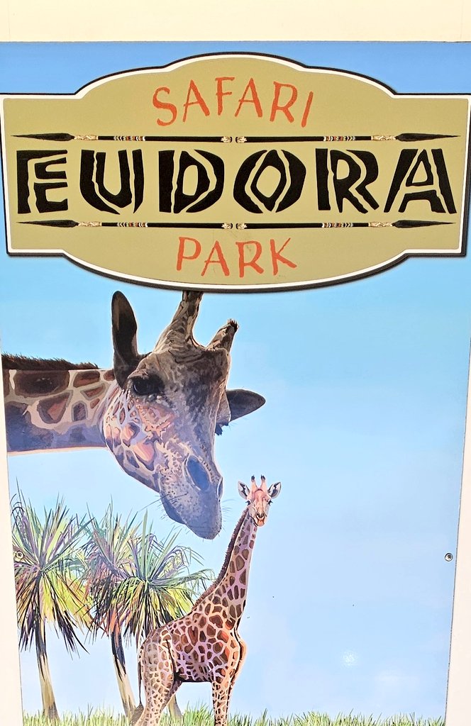 UltTailgater's tweet photo. Great time today @EudoraFarms! Big thanks to their staff + @LarryFridie for having us out!! Many #Gamecock fans had the opportunity to meet &amp; get autographs from various @GamecockFB players. 
#GamecockFootball #EudoraFarms #PalmettoAutographs #CollegiateLegends #CollegiateLegends https://t.co/jjqcp03pYn