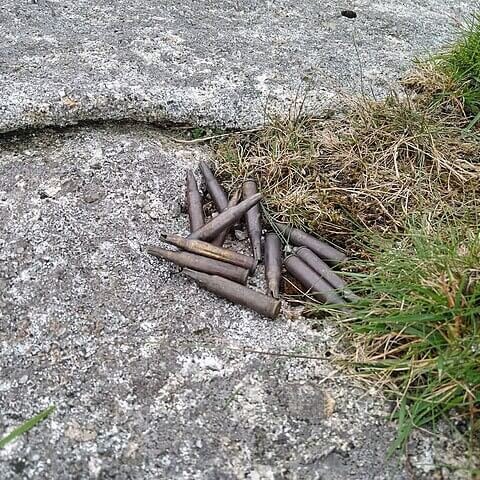 Lead ammunition to be banned for hunting and shooting in Great Britain #hunting #lead #leadpoisoning

naturalworldfund.com/lead-ammunitio…