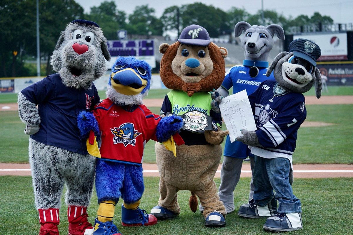 WooBaseball's tweet image. Happy birthday to Jake the Lion!
Jake and his friends Trax, Boomer, Woofster, and Pierre celebrate Jake’s birthday here at Fitton Field before the matchup against Vermont!