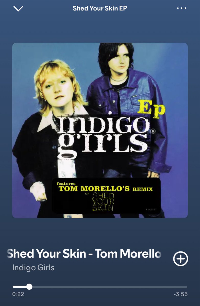 Technically next in the Indigo Girls discography listens is their EP for “Shed Your Skin.”

Yep, the remix is done by that Tom Morello dude. But, I don’t love the mix much.

Includes a live cover version of “Blister In The Sun” and some other live tunes.

Anyone know this EP?