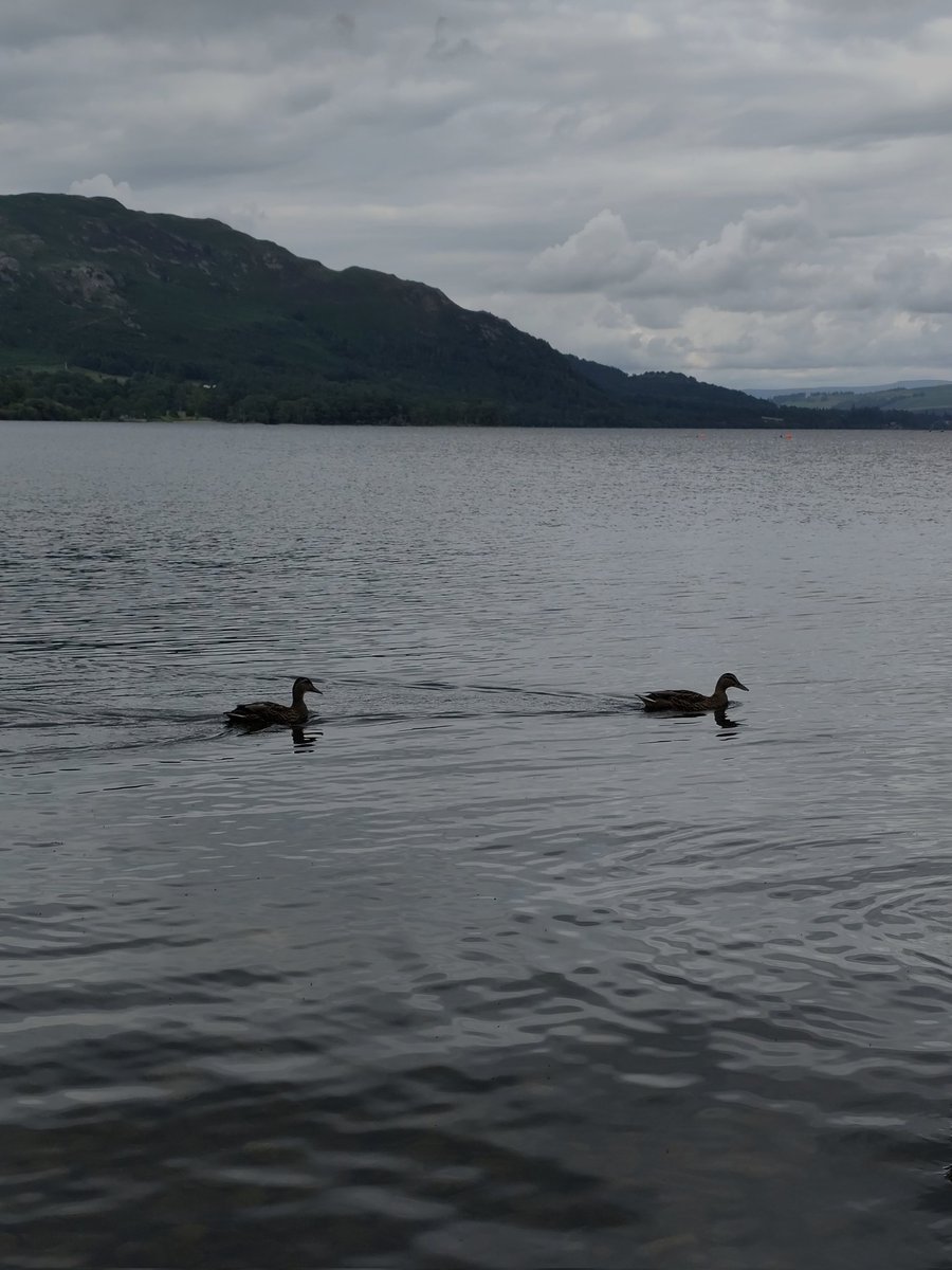 _hello_im_j's tweet image. Sunday | Lake