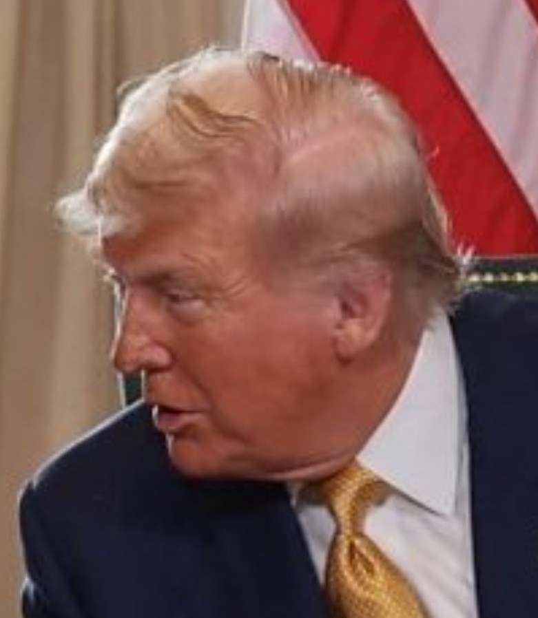 WTF is going on in (and on) this man's head?