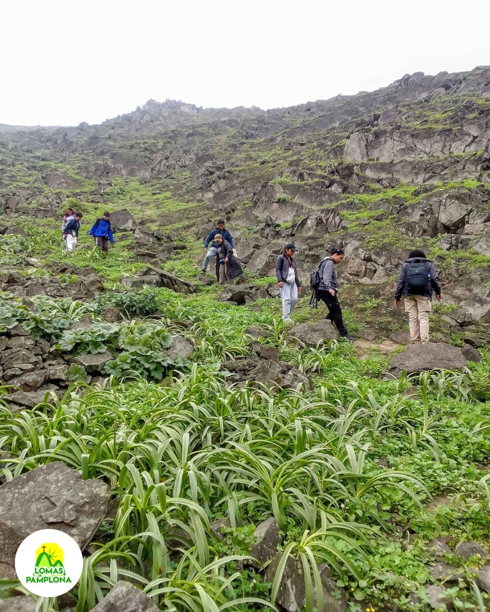 Muchísimas gracias a quienes nos acompañaron en nuestro primer recorrido de la presente temporada verde. 💚

Junt@s disfrutamos de un maravilloso #EspectáculoDeVida. 🌱

L@s esperamos los días 28 y 29. 🗓️

Inscripciones: forms.gle/w7bJnu9UGMwZNa…

Más info: 941542010 (WhatsApp) 📱