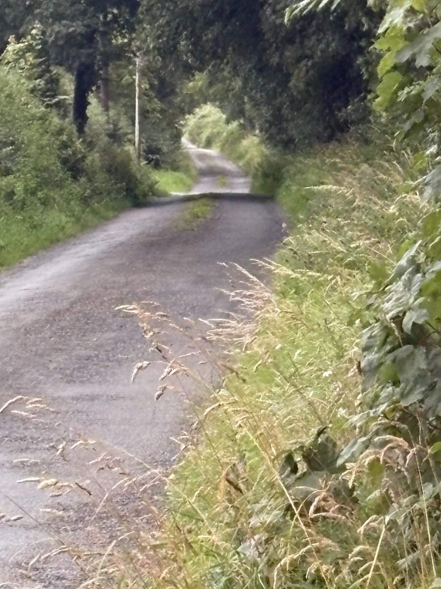 CharlieFlanagan's tweet image. &apos;Take me home country roads&apos;