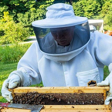 Pesticide-resistant mites behind largest US honeybee die-off #bees #honeybees #savethebees #beekeeping

naturalworldfund.com/pesticide-resi…