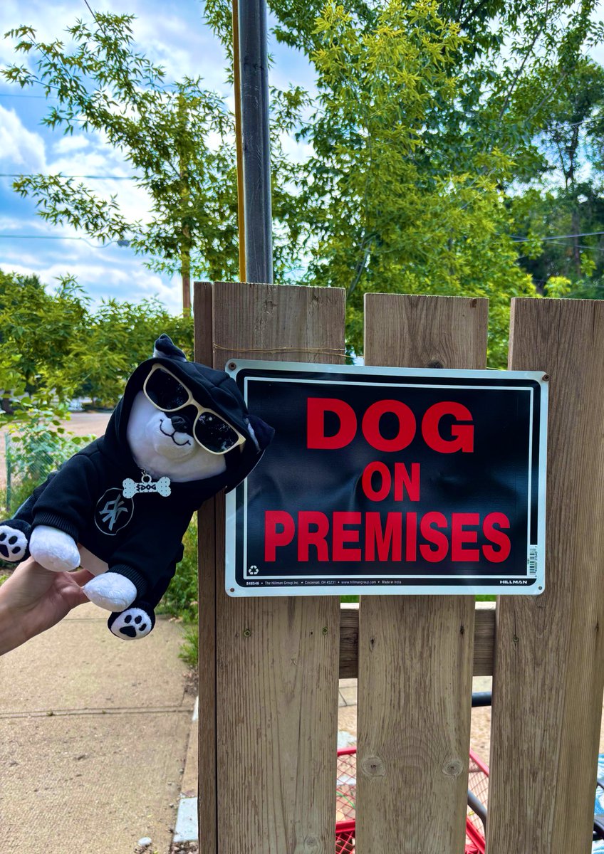 aashleeyniicole's tweet image. Have you grabbed your high-quality $DOG of Bitcoin plushie yet? 🐶💰
Each plushie comes with an exclusive PFP!
Once the first 200 are sold, those early buyers will get priority access to mint their PFPs.
Only 55 left — don’t miss out!
Get yours now! 🚀
shop.dogofbitcoin.com/product/dog-sz…