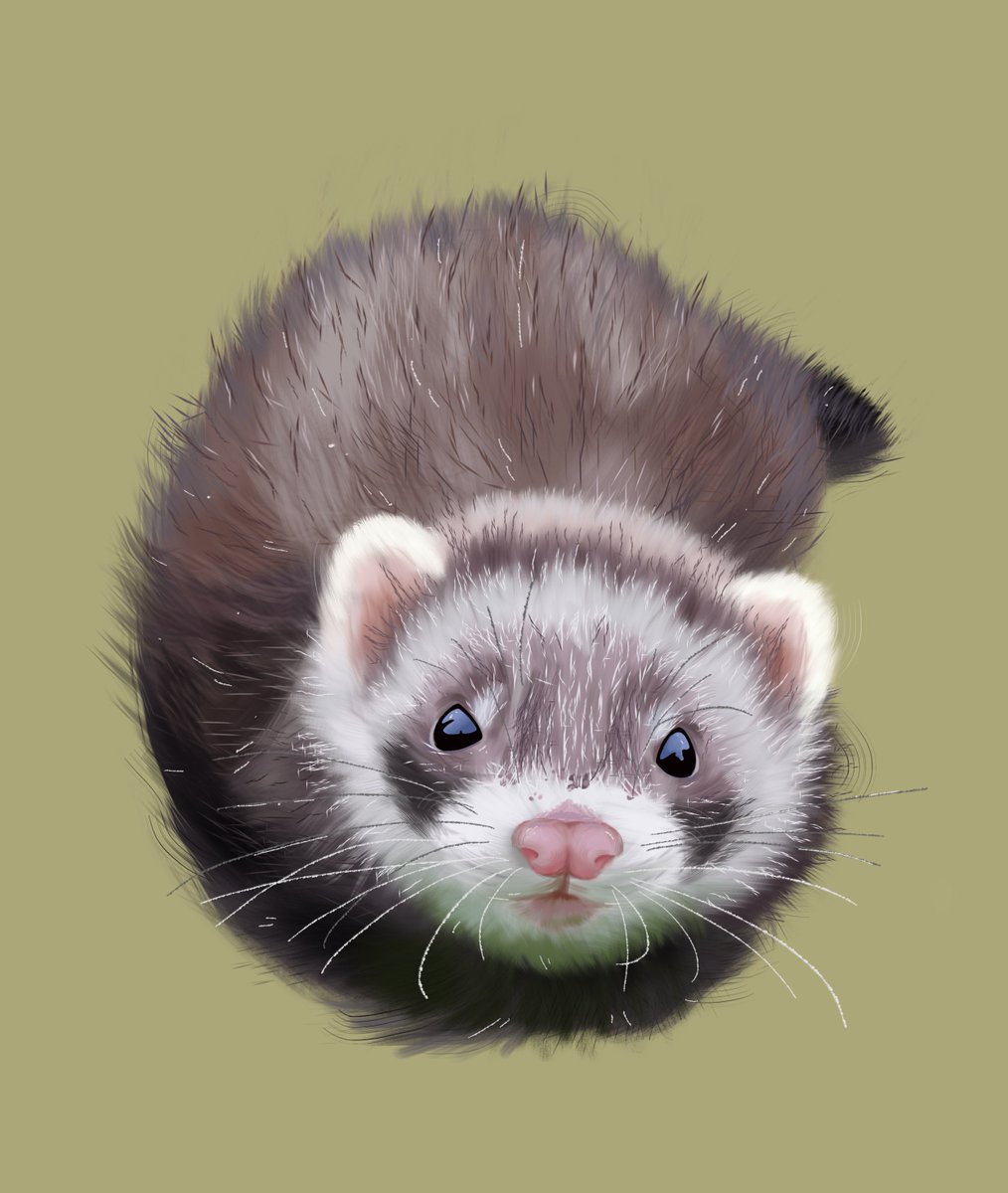 slots open for pet portraits