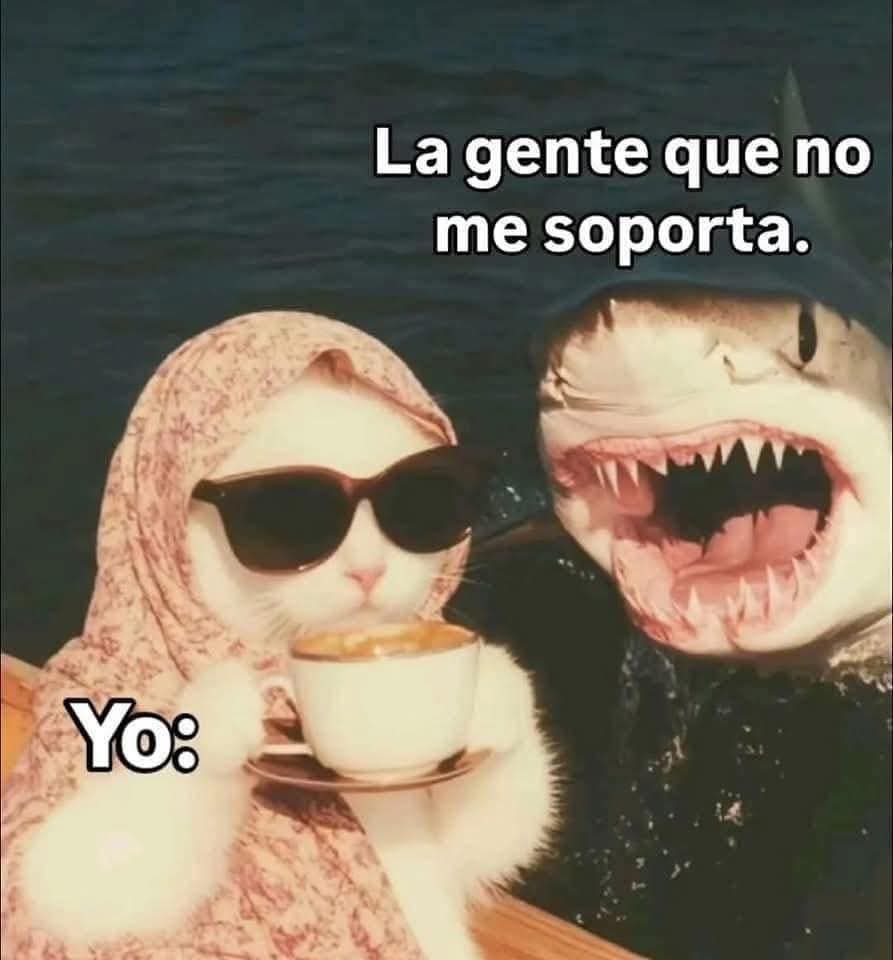 bruja_pititis's tweet image. 😎