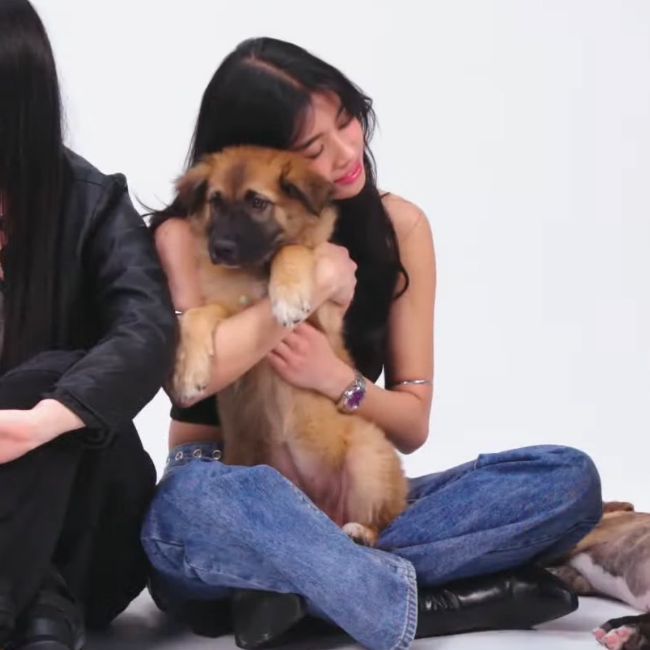 sophiadokatseye's tweet photo. thinking about puppy interview sophia she looked so extremely beautiful that day and her interactions with the puppies were adorable i cant https://t.co/J4RiN3mNku