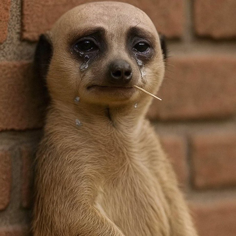 Mufeeedaaa's tweet image. Any small thing,Monday