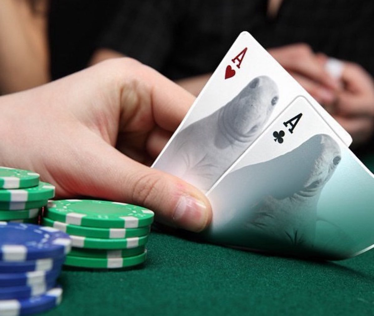 We are SO fucking back.

I will never zero myself again.