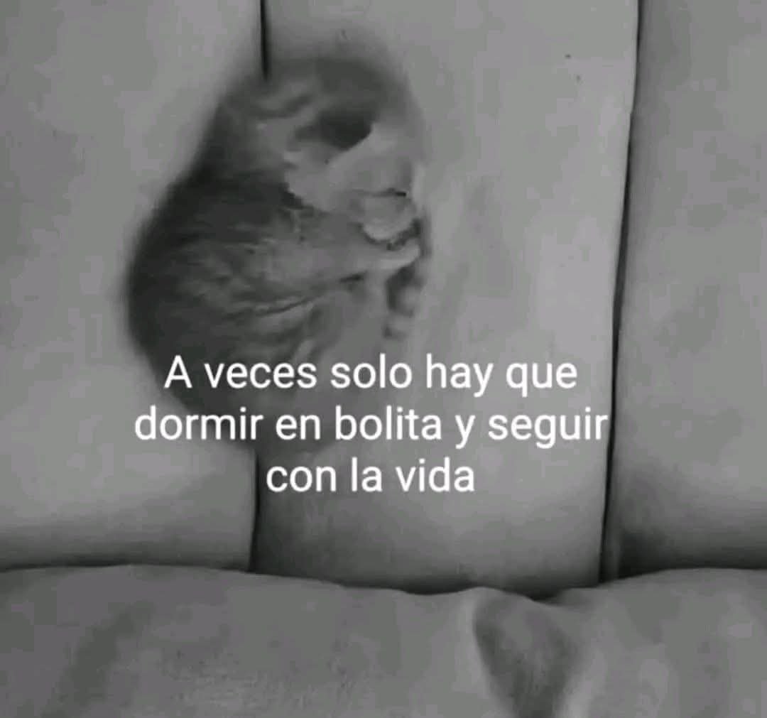 perkcman's tweet image. 