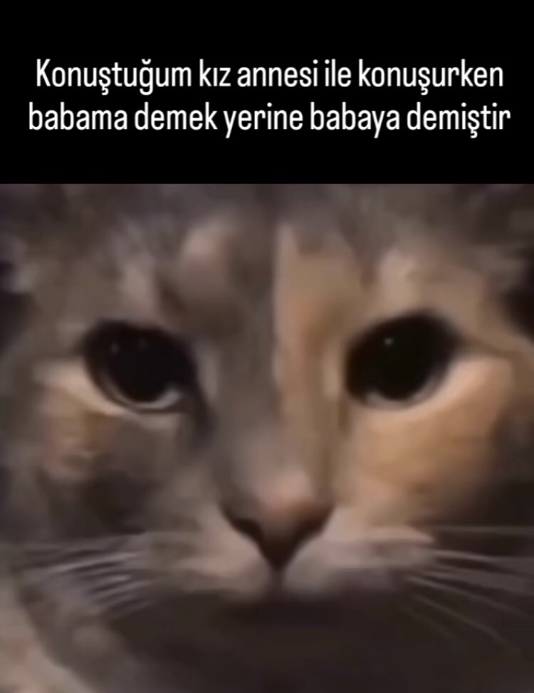 Orinelash's tweet image. Lan ne alaka şerefini siktiklerim