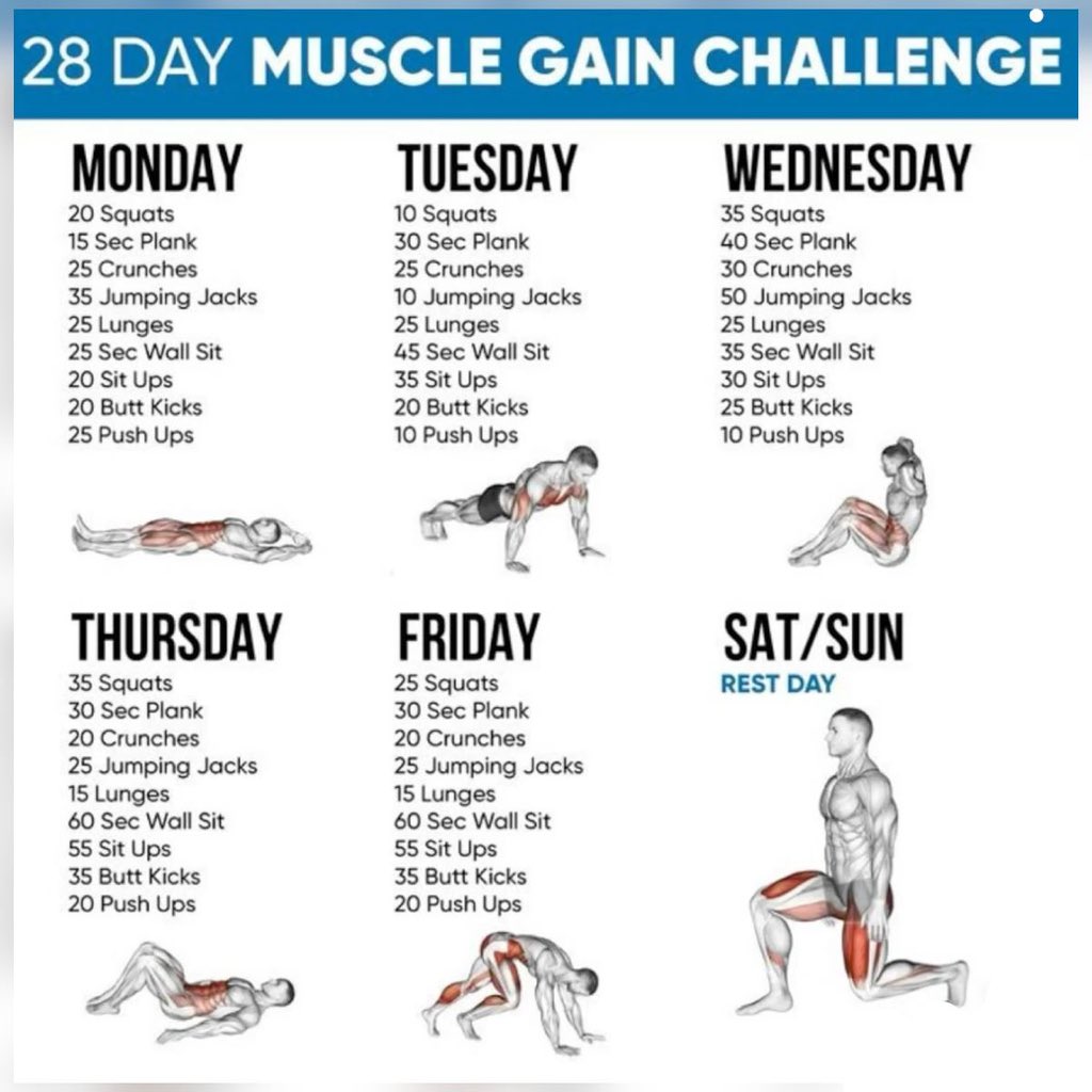 FitnessGuide0's tweet image. 28-day Muscle Gain Challenge