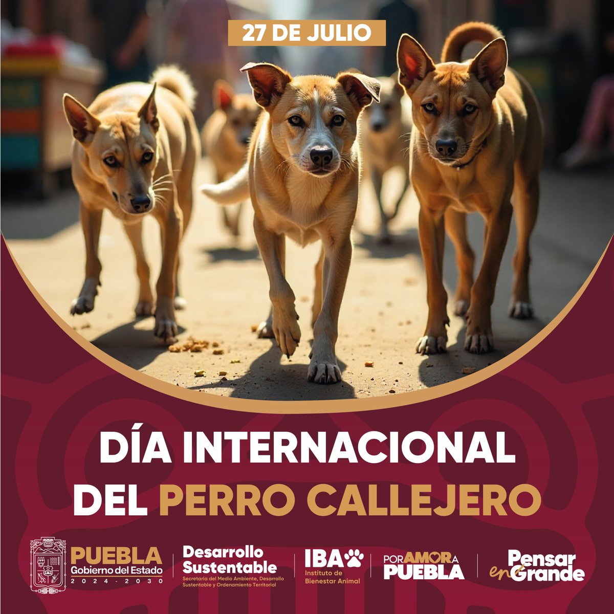IBAGobPue's tweet image. Hoy celebramos el #DíaInternacionalDelPerroCallejero, un día para reconocer a esos increíbles peluditos que, a pesar de las adversidades, siguen llenando de amor y esperanza las calles.
Desde el @Gob_Puebla invitamos a reflexionar y actuar: adopta, ayuda, comparte y educa.