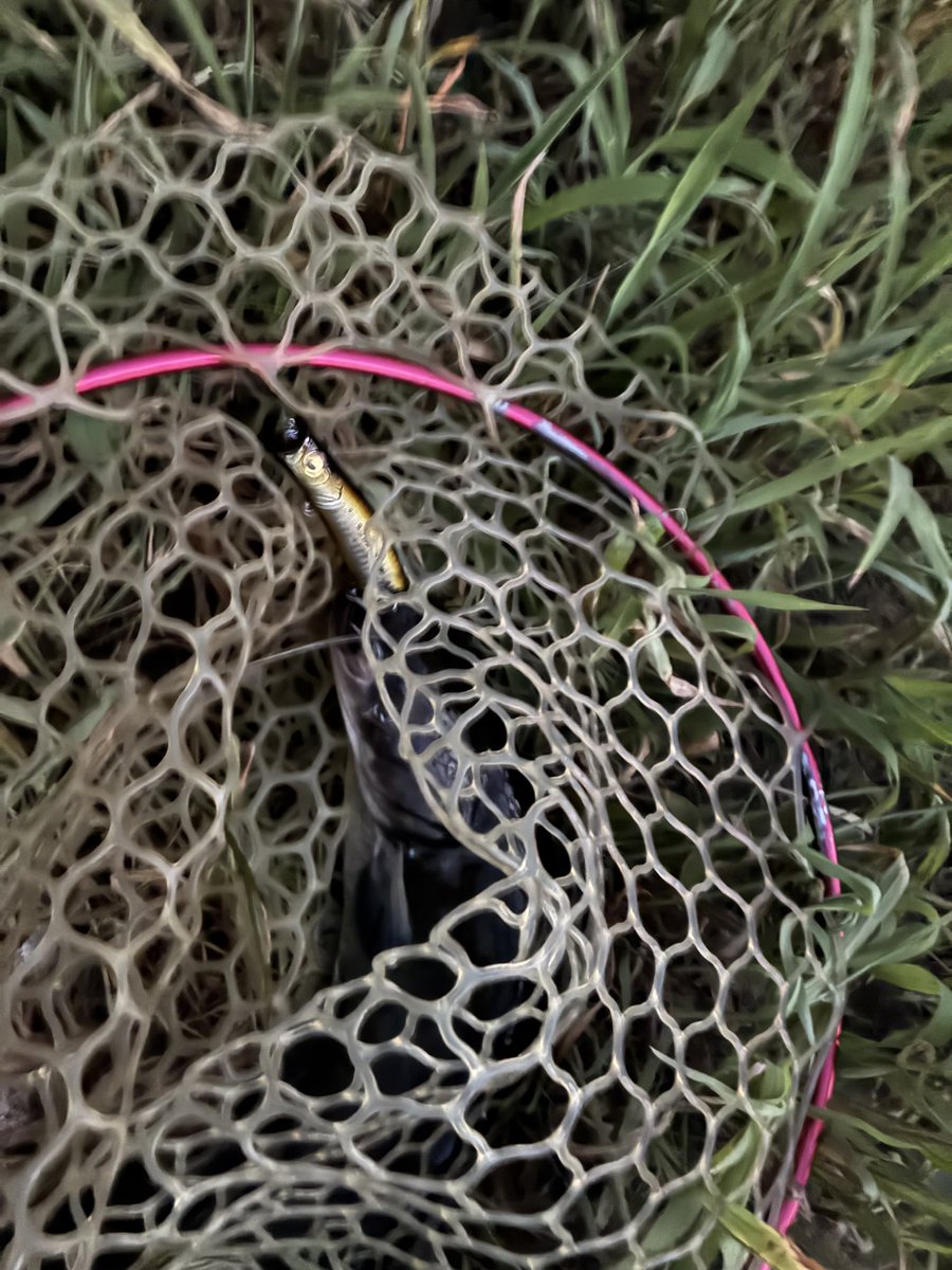 水に浸かってもそれほど冷たくない今年の夏。