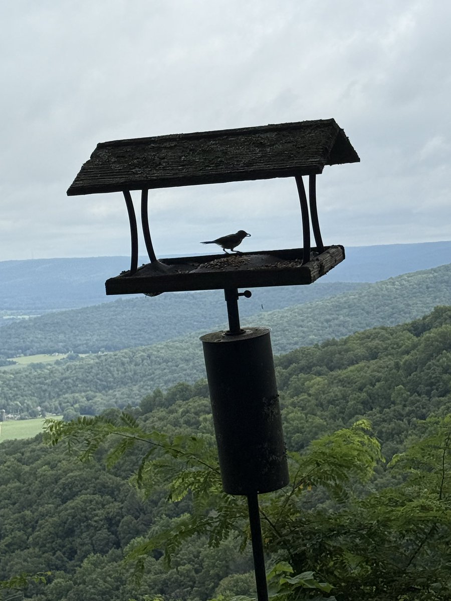 nanjpowell's tweet image. Tennessee weekend.