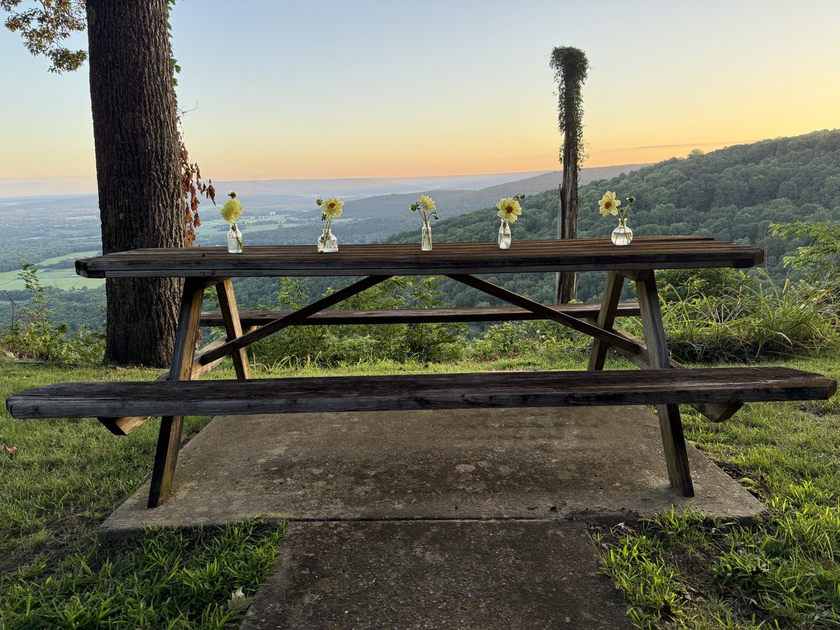 nanjpowell's tweet image. Tennessee weekend.