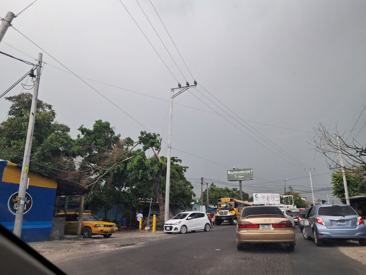 ElMundoSV's tweet image. Las ramas de un árbol cayeron sobre el tendido eléctrico en la entrada de la colonia San José en Soyapango este domingo debido a las lluvias.